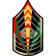 Image for USMC Chevron E-9 Master Gunnery SGT 7 Panel - 7"