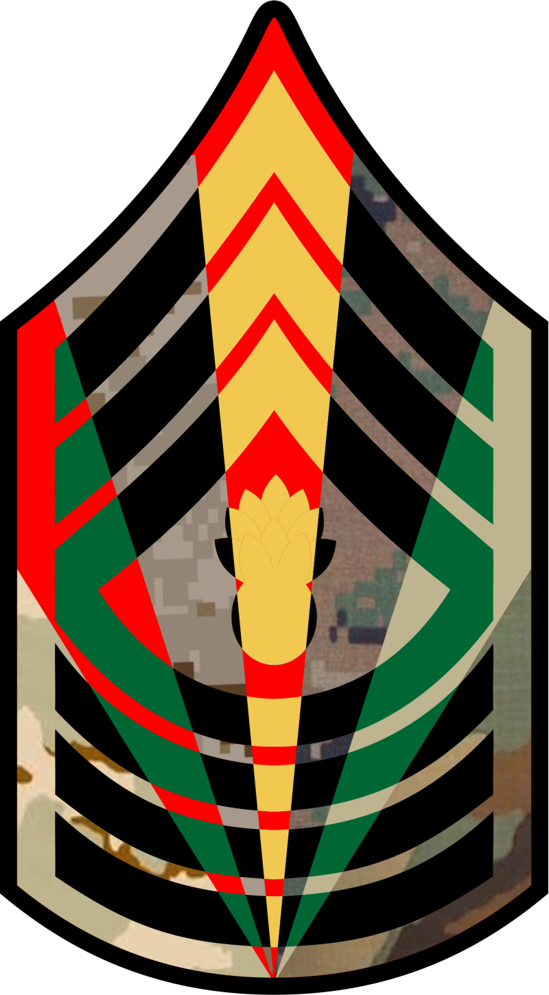 USMC Chevron E-9 Master Gunnery SGT 7 Panel 7 inch Patch