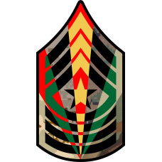 Image for USMC Chevron SGT Major Star 7 Panel - 7"