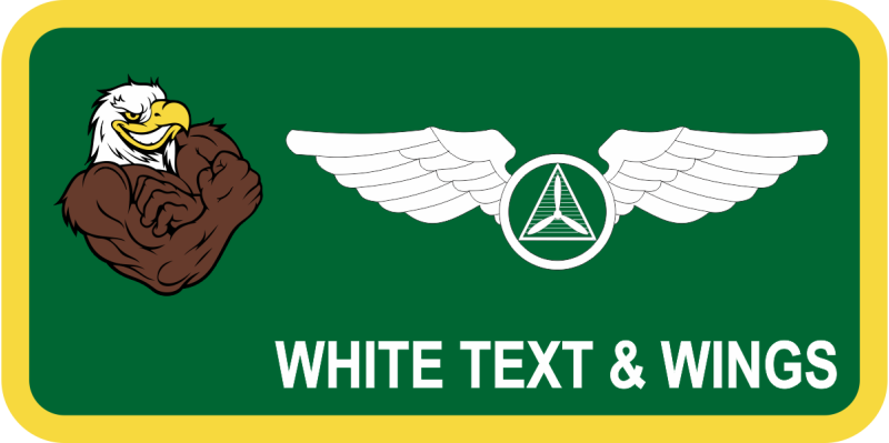 Civil Air Patrol Flexing Eagle Name Tag 