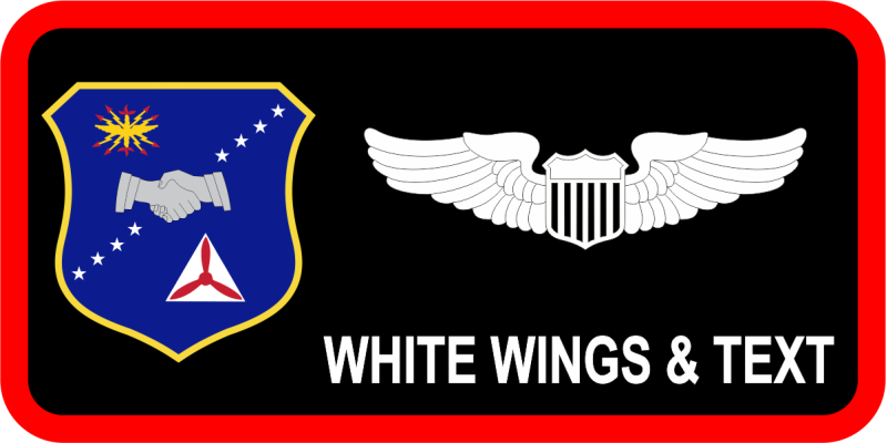 Civil Air Patrol U.S. Air Force Auxiliary Name Tag