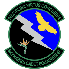 Image for Skyhawks Cadet Squadron 47 Patch