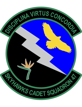 Image for Skyhawks Cadet Squadron 47 Patch