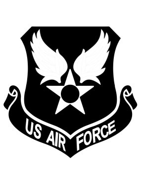 Image for US Air Force Black & White Patch