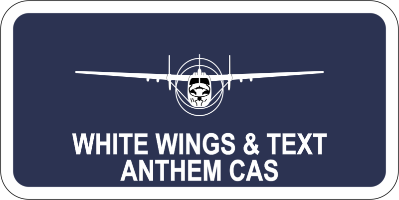 Anthem Commercial Air Services Name Tag