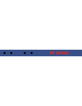Image for Irreverent Warriors Boise Bag Tag