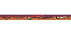 Image for Irreverent Warriors Phoenix Arizona Bag Tag