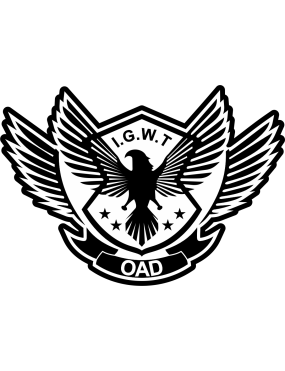 Image for I.G.W.T OAD Black/White Patch