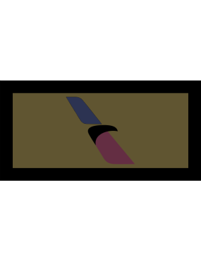 Image for American Airlines Subdued Pocket Tab