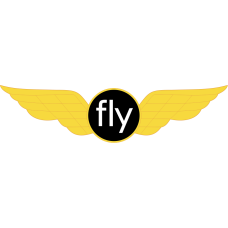 Image for McNeely Charter Serv. Inc Fly Wings Enamel Pin