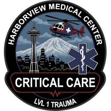 Image for Harborview Medical Center "Critical Care" LVL 1 Trauma Patch