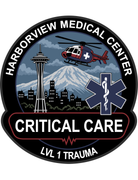 Image for Harborview Medical Center "Critical Care" LVL 1 Trauma Patch