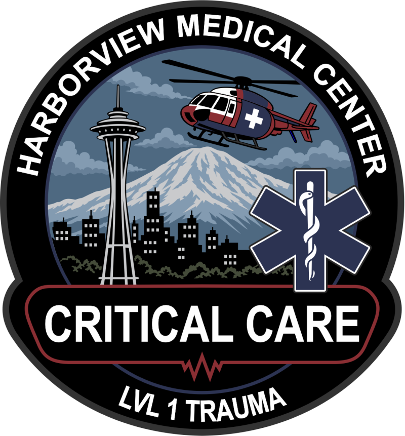 Harborview Medical Center "Critical Care" LVL 1 Trauma Patch 