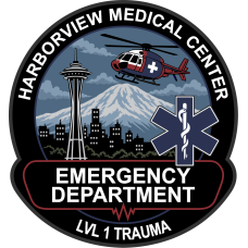 Image for Harborview Medical Center "Emergency Department" LVL 1 Trauma Patch