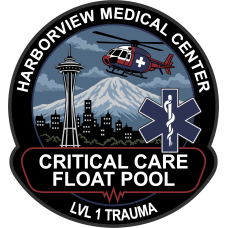 Image for Harborview Medical Center "Critical Care Float Pool" LVL 1 Trauma Patch