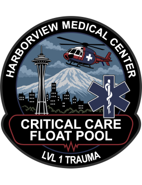 Image for Harborview Medical Center "Critical Care Float Pool" LVL 1 Trauma Patch