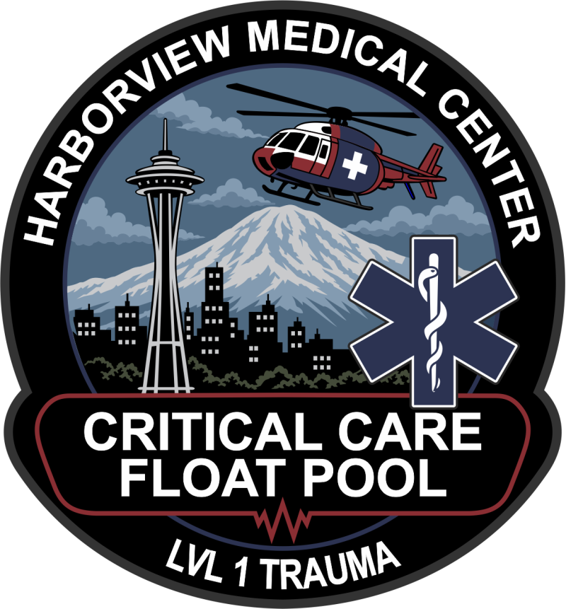Harborview Medical Center "Critical Care Float Pool" LVL 1 Trauma Patch 