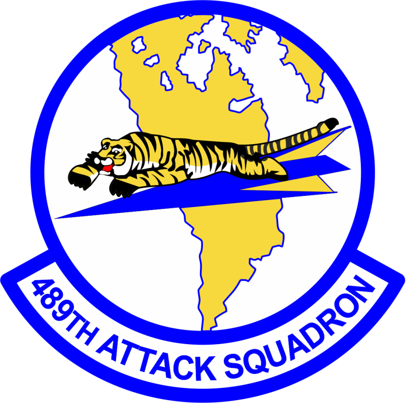 489 ATKS Tiger on Airplane Patch