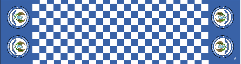 SICOFAA Blue Tip Flight Scarf, Davis-Monthan AFB