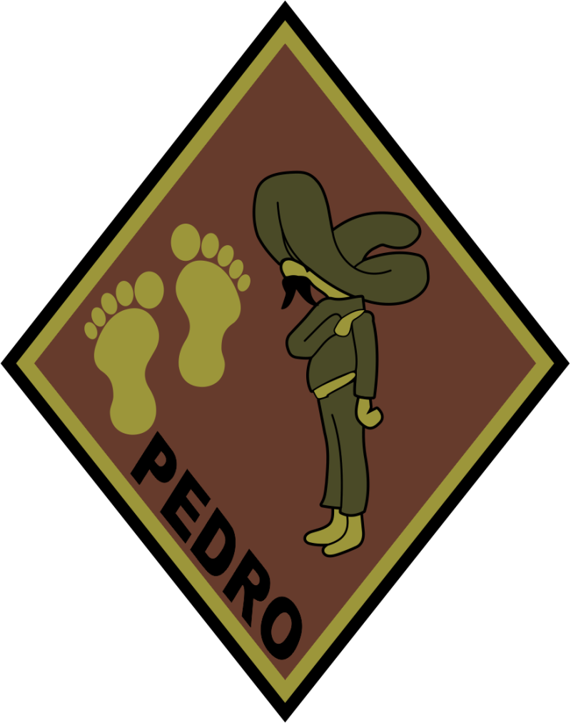 55 RQS Pedro OCP Patch