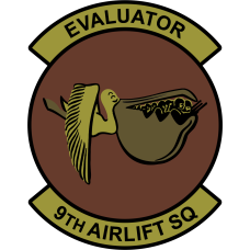 Image for 9 AS OCP Evaluator Flying RIGHT Patch