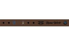 Image for 711 SOS Coyote Brown Bag Tag