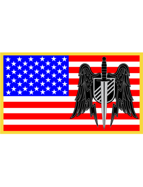 Image for 919 SOW American Flag with Winged Sword Patch
