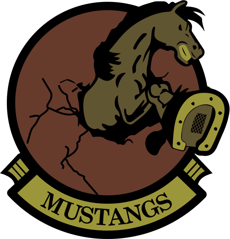 436 Training Squadron Mustangs OCP Patch