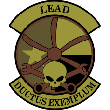 Image for 317 MXG Lead OCP Patch