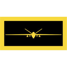 Image for 452 FLTS MQ-9 Pocket Tab