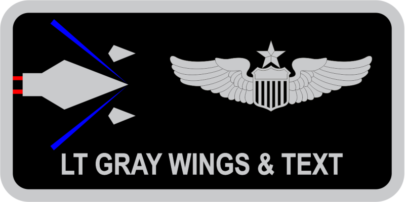 411 FLTS Delta Name Tag