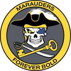 Image for 452 FLTS Marauders Skull with Sword & Key Patch
