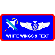 Image for TPS Slide Rule Name Tag