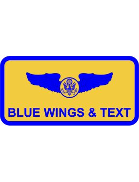 Image for 23 EWS Name Tag