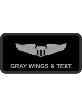 Image for 350 SWG Det 1 Name Tag No Logo