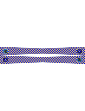 Image for 350 SWW Flight Scarf, Eglin AFB