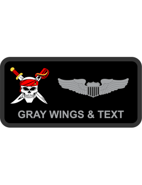 Image for 350 SWG Det 1 Skull Logo Name Tag