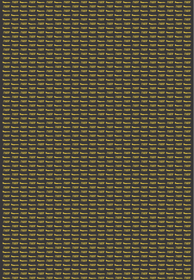 37 BS Tiger with B-1b 65x45 Fabric Blank