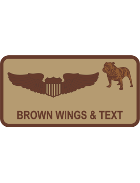 Image for 525 FS Desert Name Tag