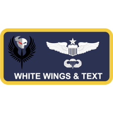 Image for Alaskan Command Viking/Punisher AFSOC Name Tag