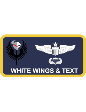 Image for Alaskan Command Viking/Punisher AFSOC Name Tag