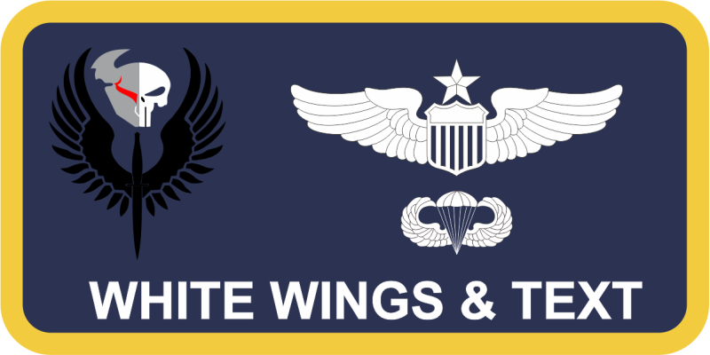 Alaskan Command Viking/Punisher AFSOC Name Tag 