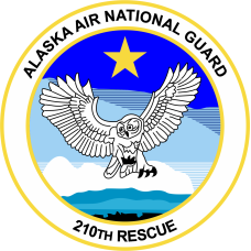 Image for 210 RQS Owl Full Color Patch