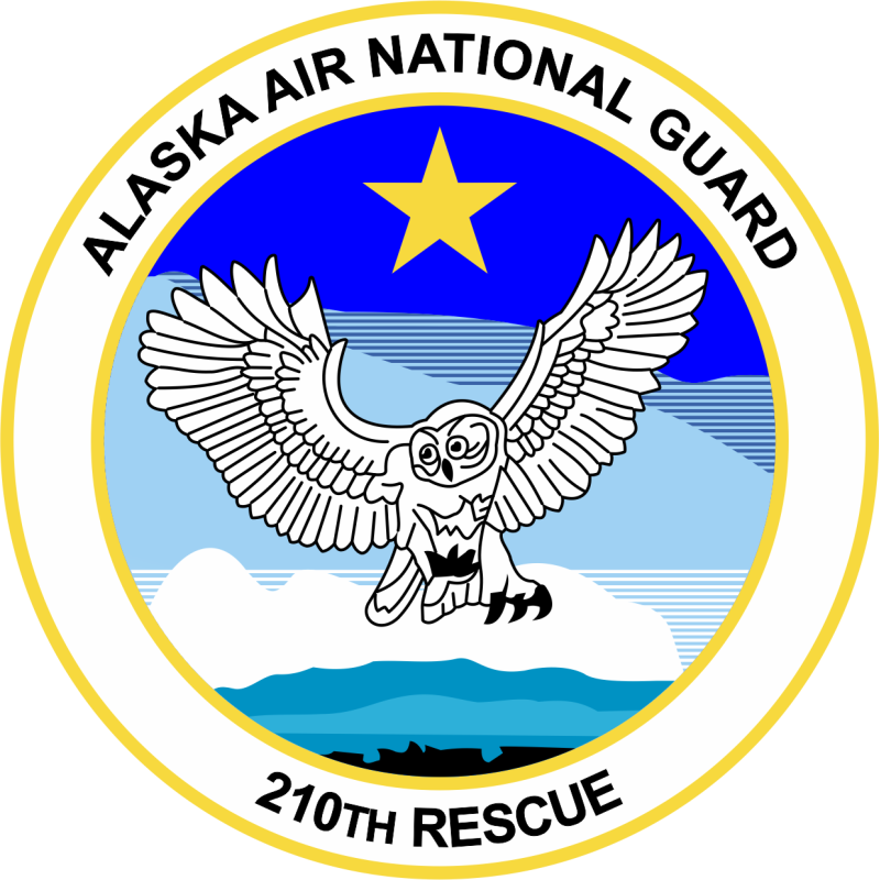 210 RQS Owl Full Color Patch