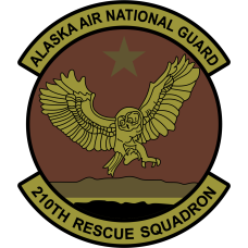 Image for 210 RQS Owl OCP Patch