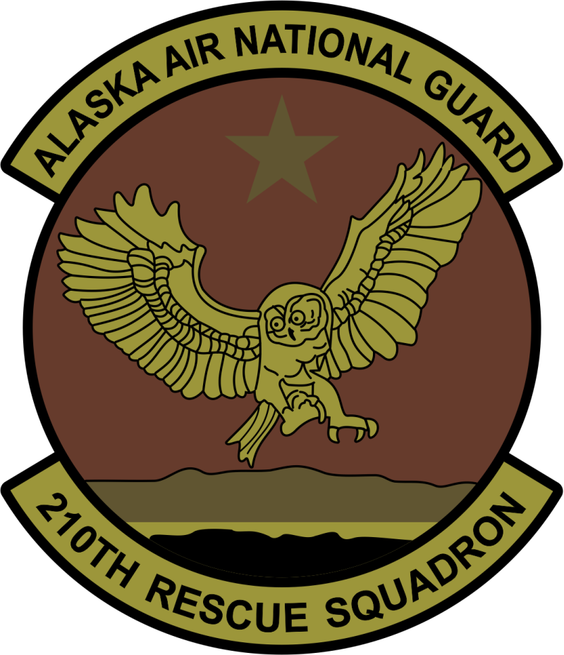 210 RQS Owl OCP Patch