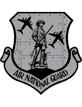 Image for 144 AS Riveted Metal ANG Black C-17 Patch
