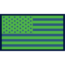 Image for 384 ARS American Flag Green Theme Patch