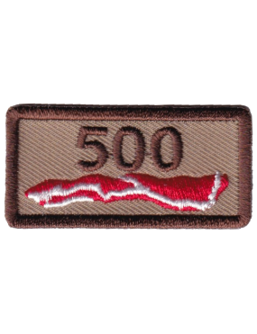 Image for 430 EECS 500 Pocket Tab