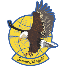 Image for 728 AMS Damn Straight PVC Patch